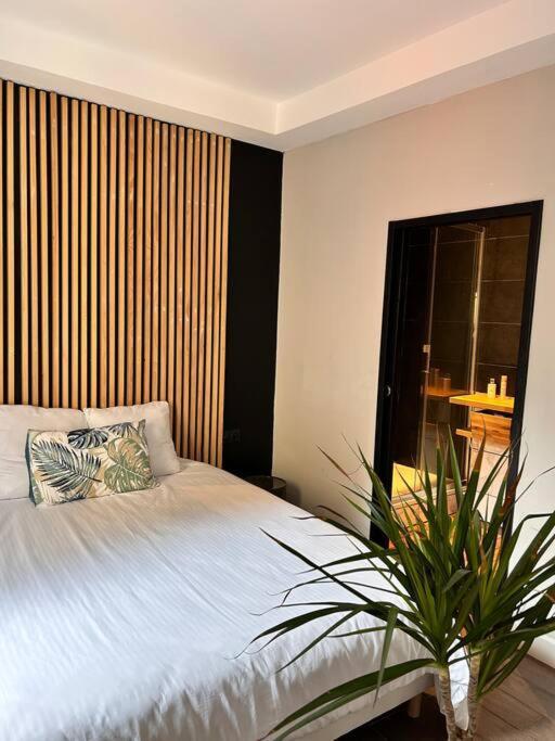 Appartement Cosy Centre Ajaccio Ajaccio  Buitenkant foto